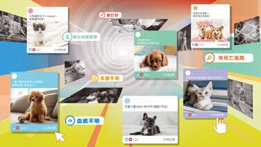 网购宠物患病率高? 慎防宠物钓鱼诈骗!