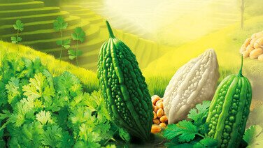 苦瓜 纳豆 芫茜 常被人嫌弃?
原来好「有营」