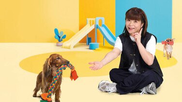 狗玩具安全檢測 有樣本三價鉻遷移量相對較高