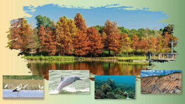 起行!4大生態旅遊 探索不一樣的香港