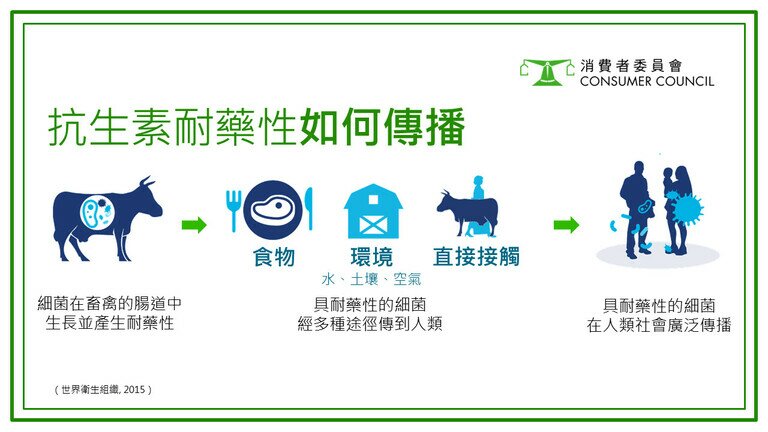 食物安全保衞戰   向濫用抗生素說不