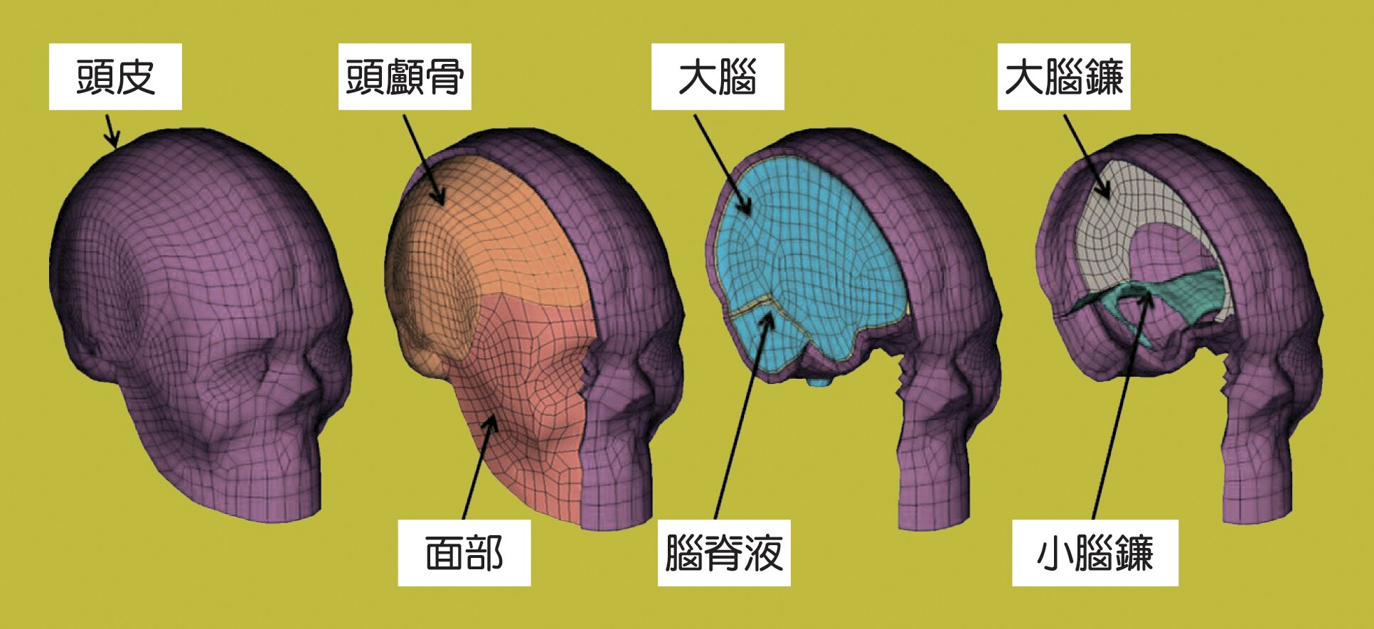 finite element analysis