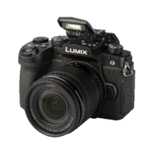 Panasonic G95