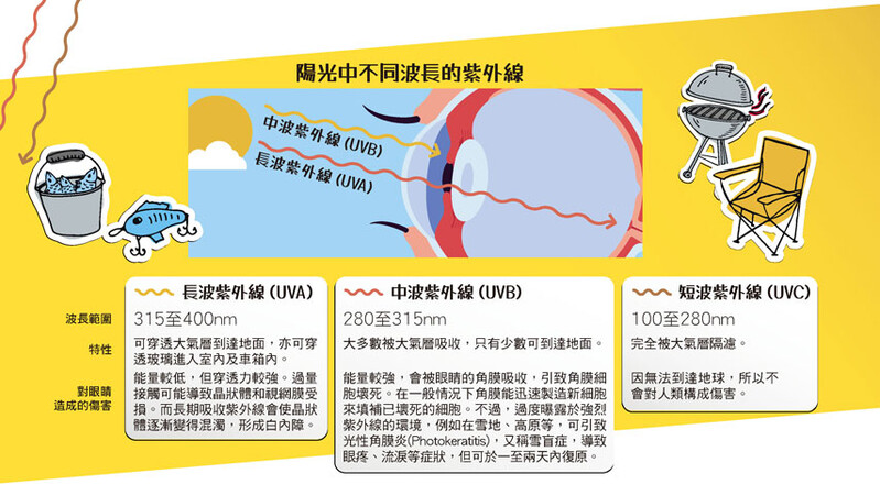 长期接触紫外线   有机会引致白内障