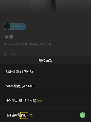 即使「JOOX」（#2）能为部分音乐提供无损播放，其显示的档案大小却时有出错。