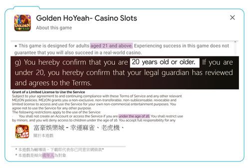 「金猴爺老虎機」（#2）與「富豪娛樂城」（#6）的年齡限制資訊欠連貫。