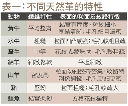 較常見的天然革有哪種？