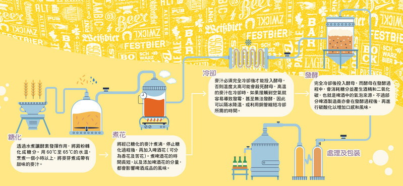 釀製啤酒的4大程序