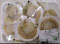 Frozen scallops found to contain PSP toxin