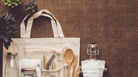 Submission to the Agriculture, Fisheries and Conservation Department on the Updating of Hong Kong Biodiversity Strategy and Action Plan