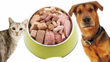 Salmonella Found in Three Raw Pet Food Posing Risk to Pet Owners