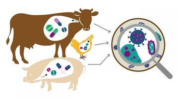 A Global Resonance to Take “Antibiotics Off The Menu”